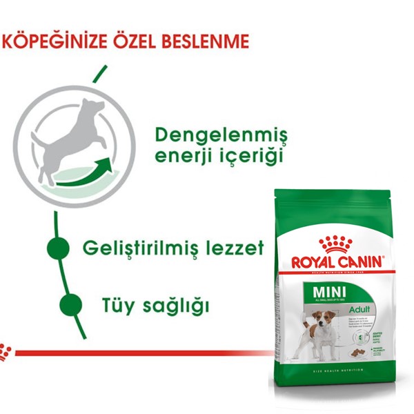 ROYAL CANİN DOG MINI ADULT 8 KG